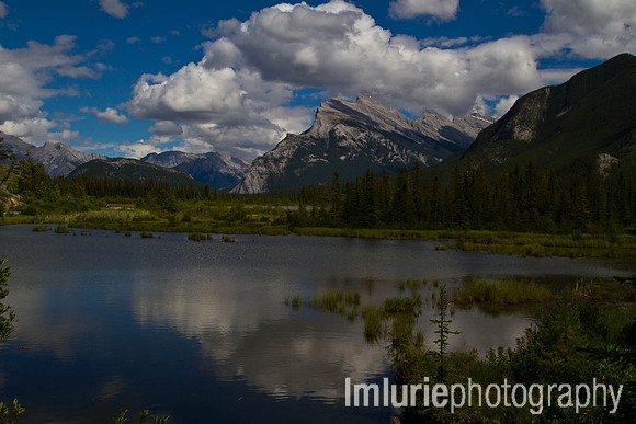 Landscape (6 of 14)